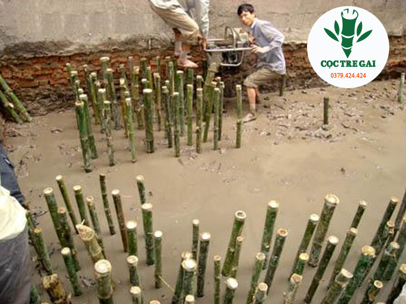 Quy trình thi công cọc tre tại Quảng Nam