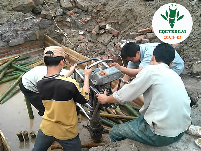 Cọc Tre Gai Công Trình