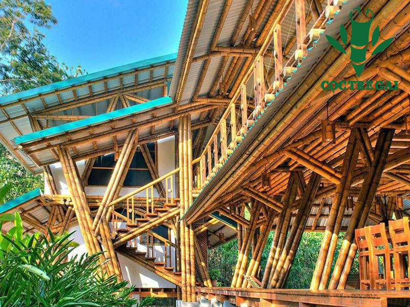 Vật Liệu Tre Trong Kiến Trúc Hiện Đại