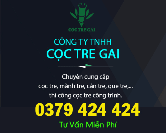 cọc tre quảng nam đà nẵng